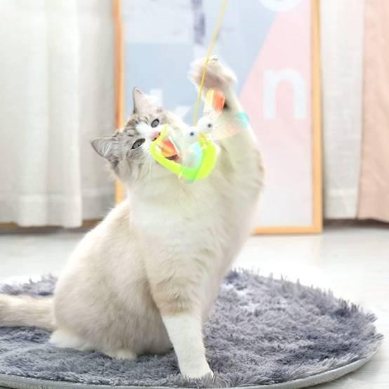 Jouets pour chats-Jouet suspendu pour chat 3-en-1 avec plumes et cataire - Living123 - Image 4
