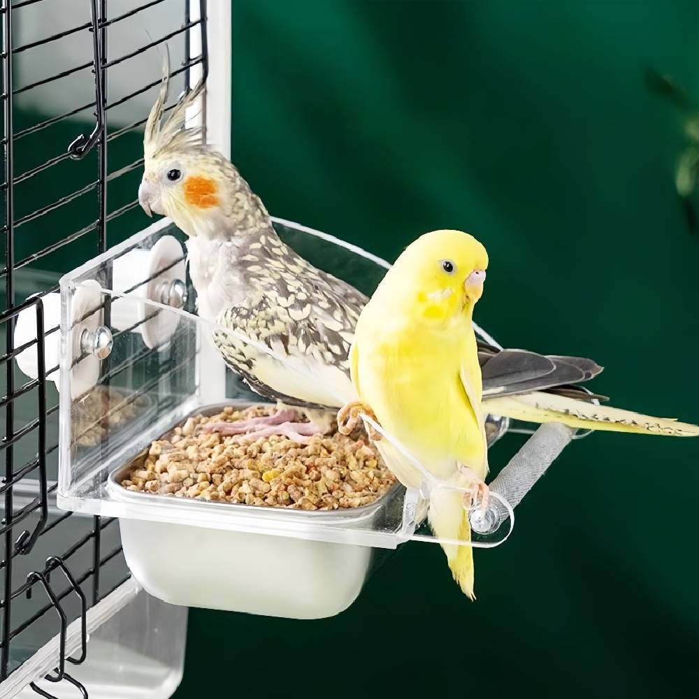 Mangeoire à oiseaux - IntiMeg - IntiMeg - Image 5