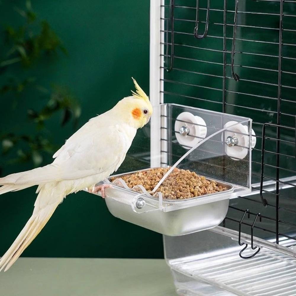 Mangeoire à oiseaux - IntiMeg - IntiMeg - Image 2