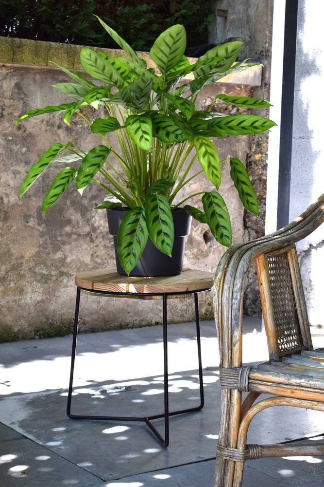 Louis Moulin - Soporte industrial bajo hierro redondo tablero madera - 40x37 cm - Acero epoxi Louis Moulin - Imagen 4
