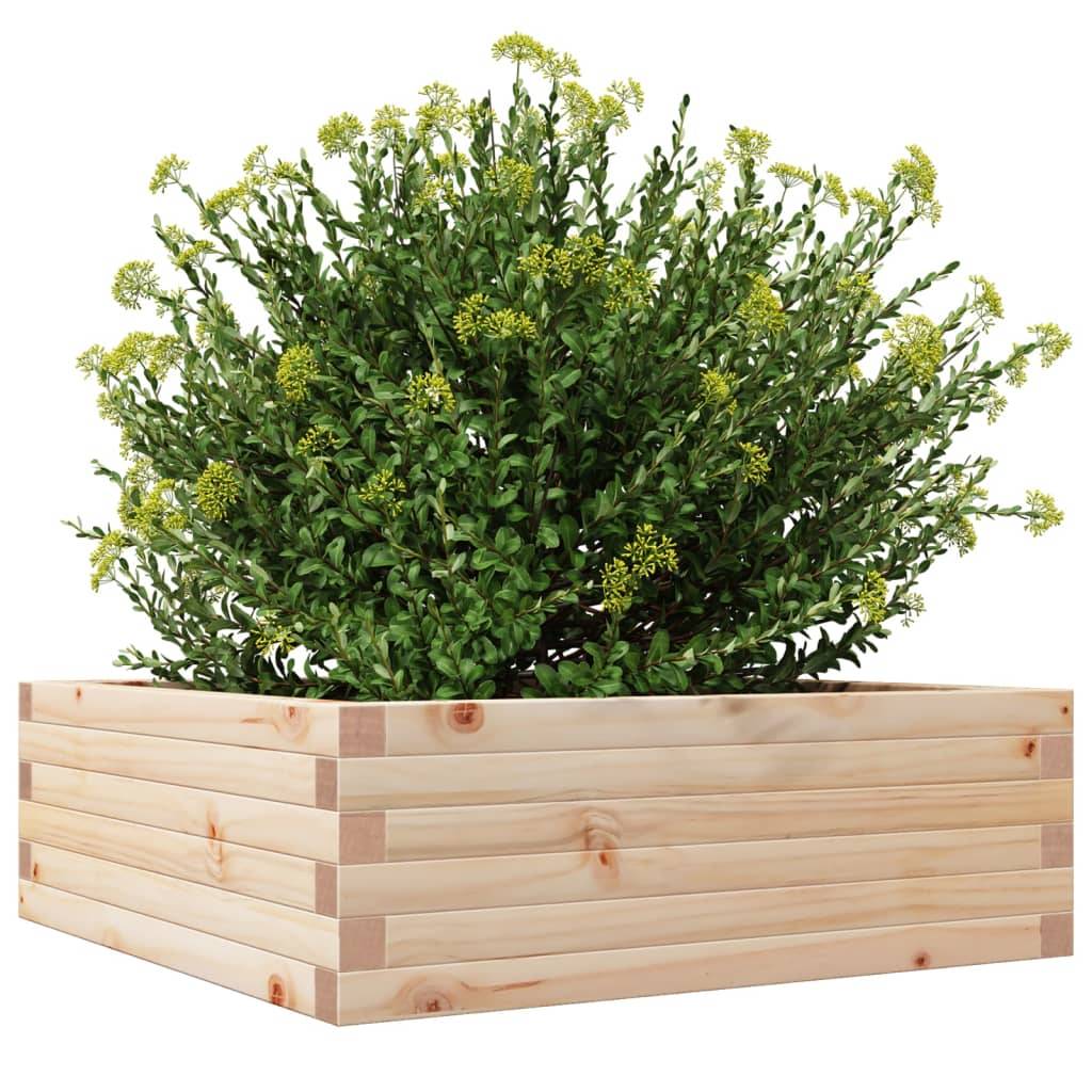 Maison Chic - Jardinière, Bac à fleurs, Pot de fleurs 70x70x23 cm bois de pin massif - Imagen 4