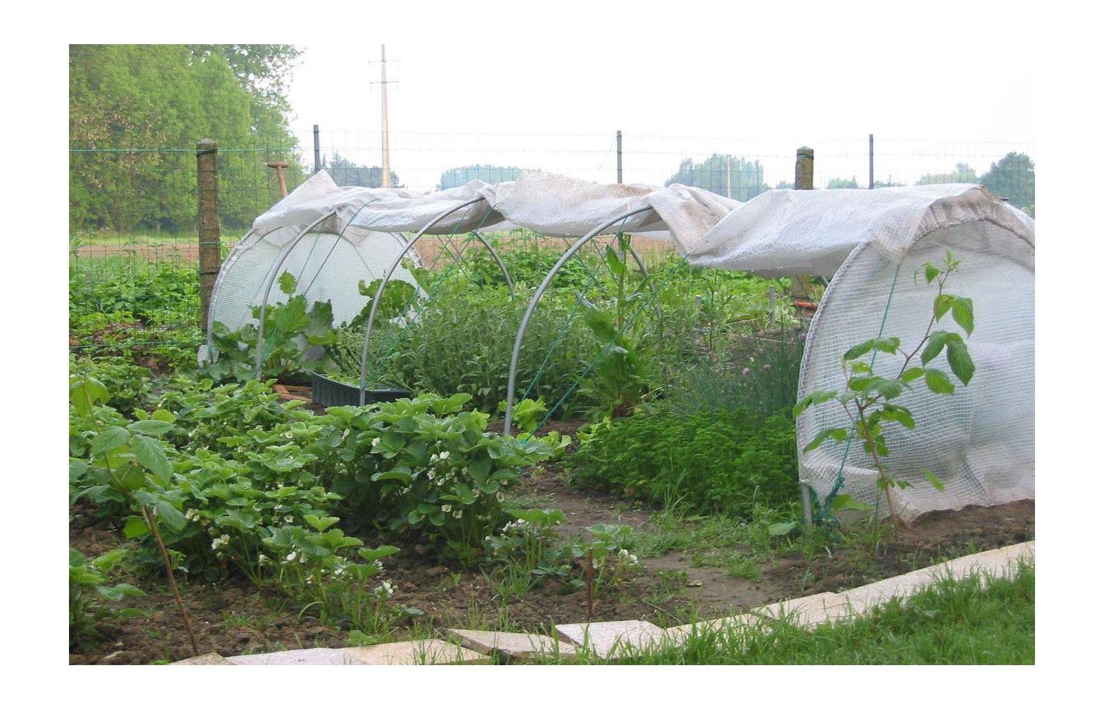 Serre de jardin tunnel de forçage 10m de long - serre à semis - LES SERRES TONNEAU - Image 6