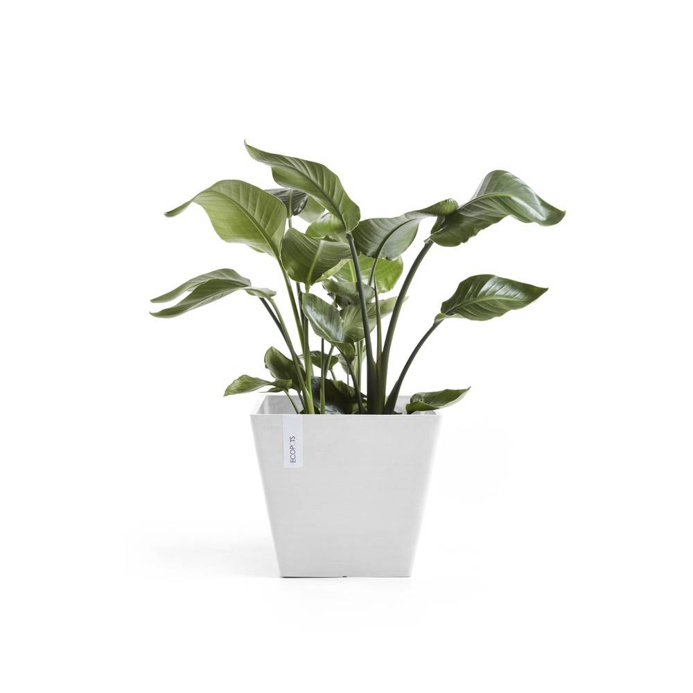 Ecopots - Pot Rotterdam 40 Pure White ECOPOTS - Imagen 2