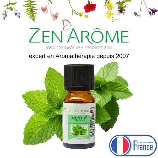 Huile Essentielle de Menthe Arvensis – 100% Pure et Naturelle - Diffusion Aromathérapie – 10ml – Conditionné en France - Zen'Arôme - Image 1