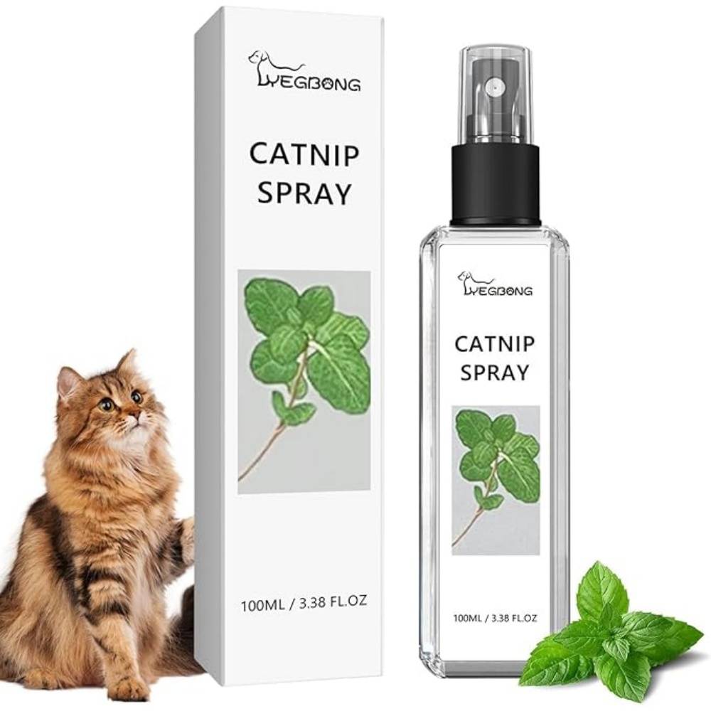Spray Herbe à Chat 100ML - Imagen 1