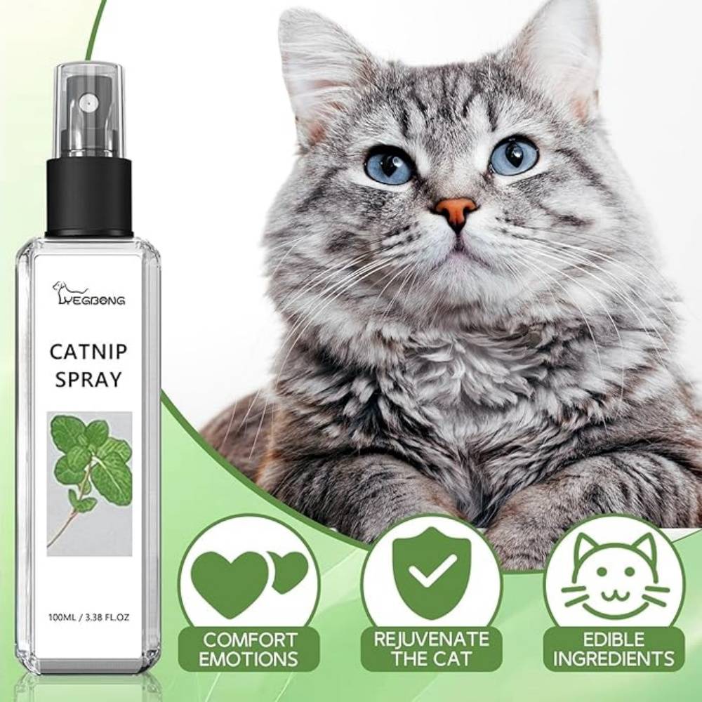 Spray Herbe à Chat 100ML - Imagen 3