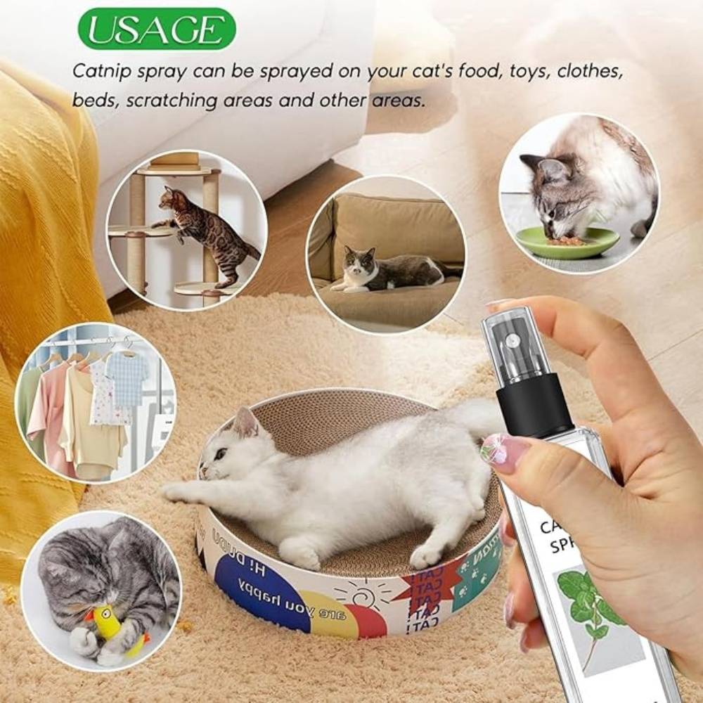 Spray Herbe à Chat 100ML - Imagen 4
