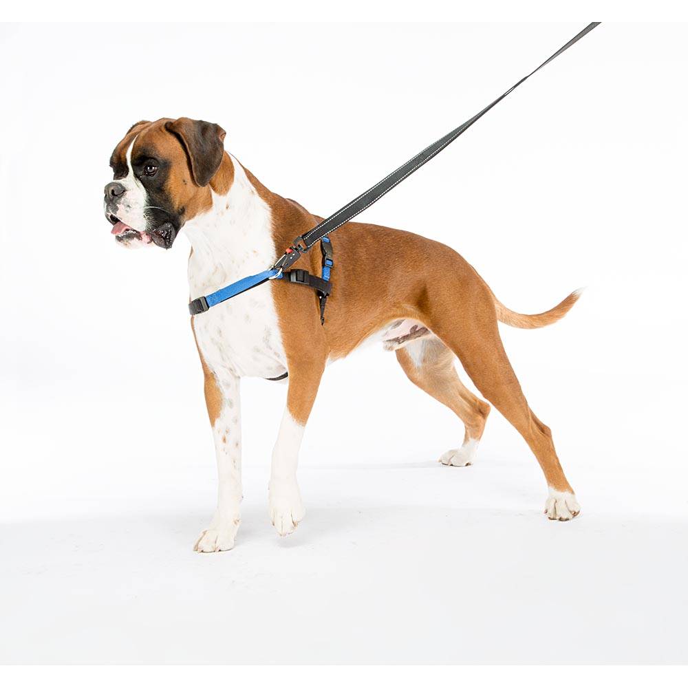 Ferplast - Ferplast Harnais Chien COACH grande taille, harnais pour dressage de chiens qui empêche les tractions pendant les promenades, contrôle maximal du - Imagen 4