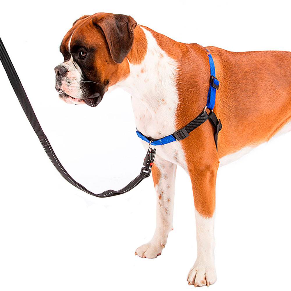 Ferplast - Ferplast Harnais Chien COACH grande taille, harnais pour dressage de chiens qui empêche les tractions pendant les promenades, contrôle maximal du - Imagen 5