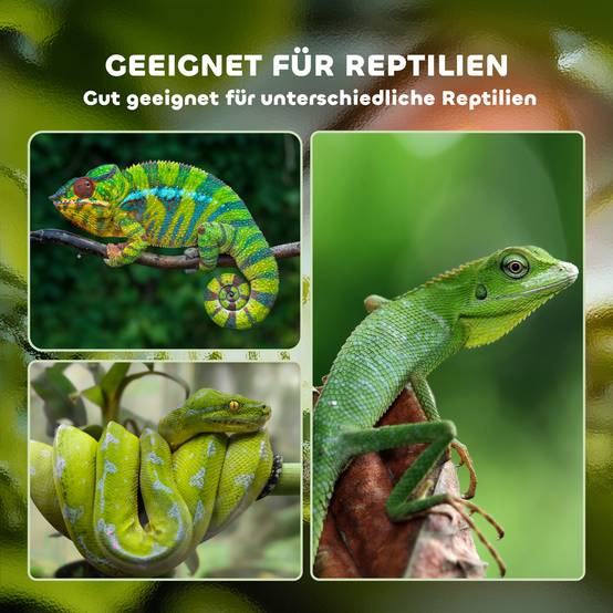 Terrarium pour reptiles en acrylique, boîte de nourrissage, 120x40x40 cm, amphibiens, insectes, escargots, araignées sauteuses - Image 9