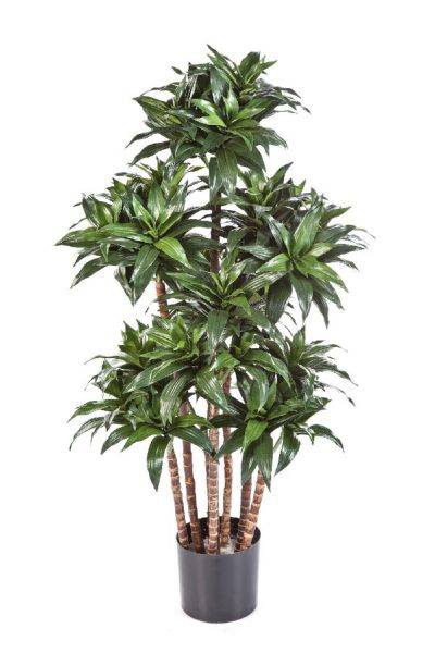 Artificielles - Dracaena Fragrans artificiel H 120 cm 576 feuilles 7 troncs en pot