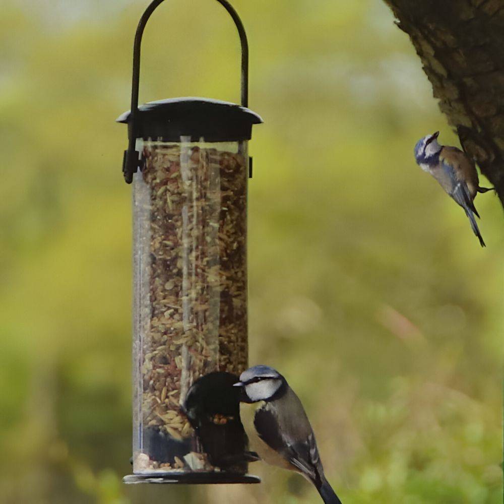 Esschert Design - Set abri mangeoire et graines oiseaux Pour mésanges bleues - Imagen 2
