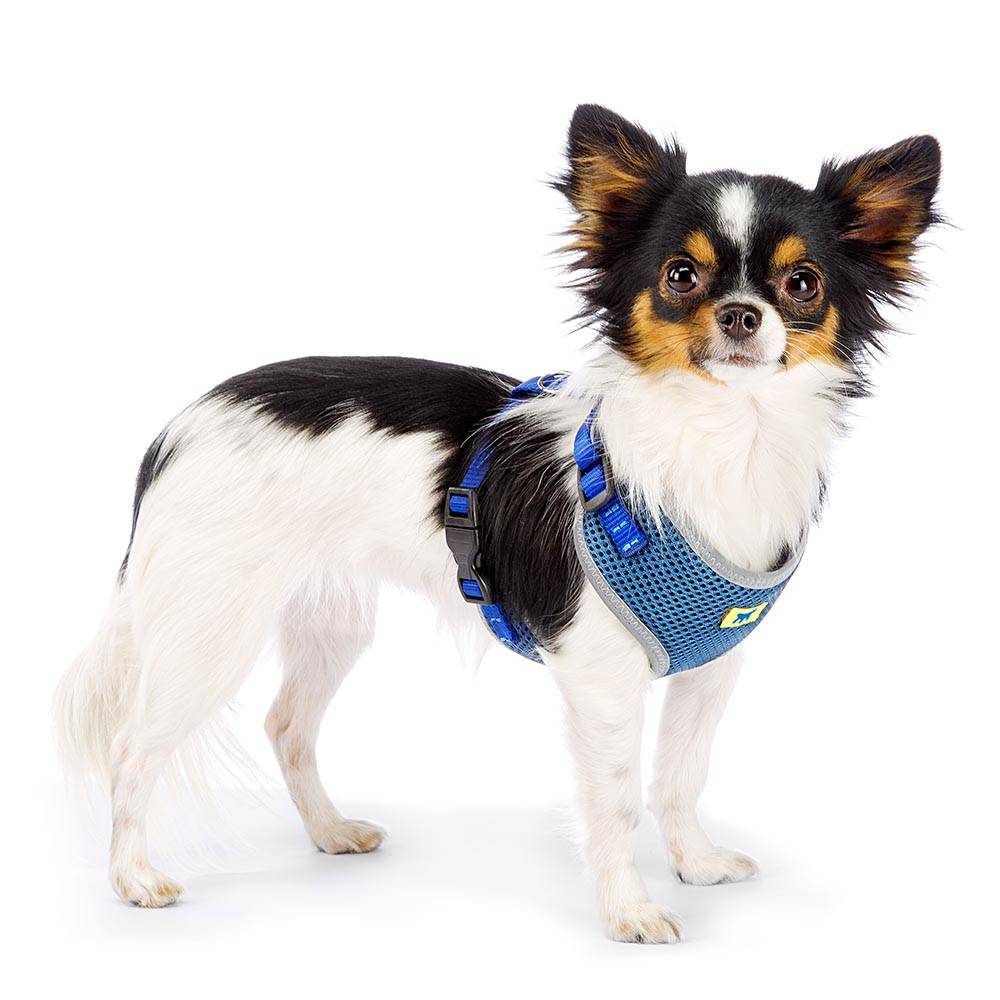 Ferplast - Ferplast Harnais Chien Petite Taille NIKITA XS, Harnais pour Chat Respirant, Rembourré et Ajustable, Facile à Porter, Bords Réfléchissants, Poitrine - Imagen 6