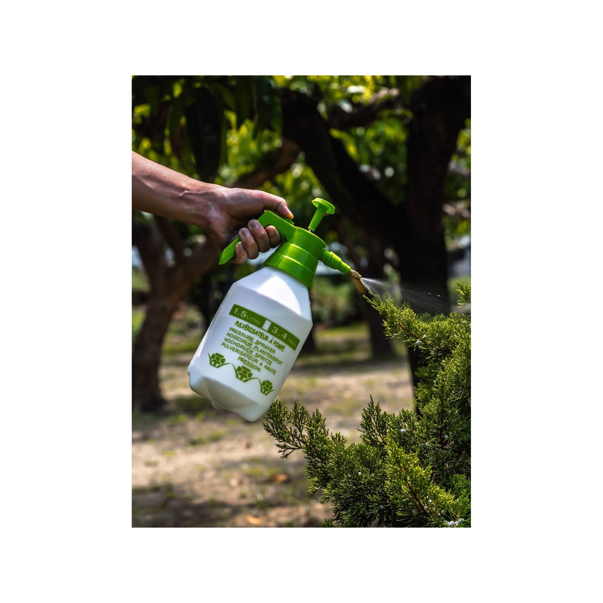 Pulvérisateur à pression 1500 ml Suan - Multi usages pour le jardin et la maison - Image 2
