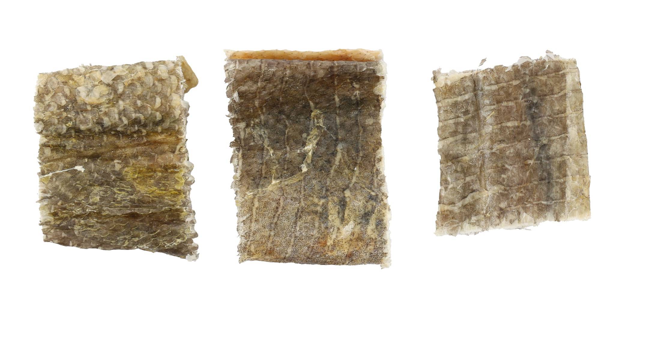 Friandises chien Nature Peau de cabillaud Court - Image 1