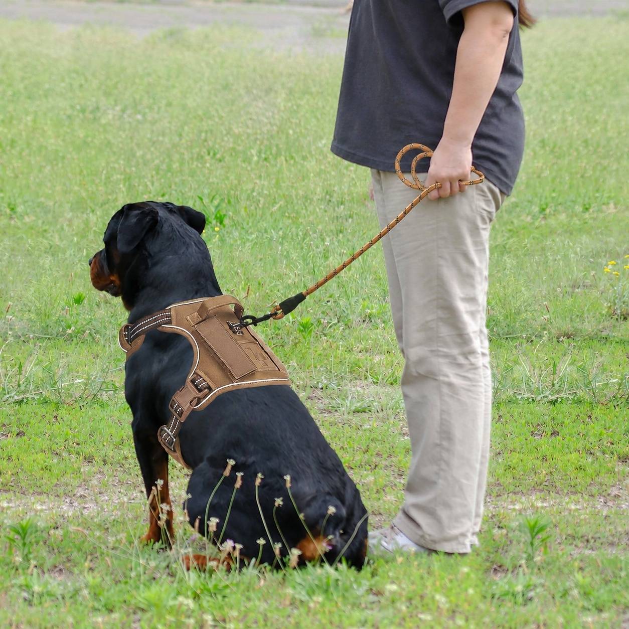 Harnais Chien Résistant Réglable Reflectant Système Molle avec Laisse Incluse - Image 3