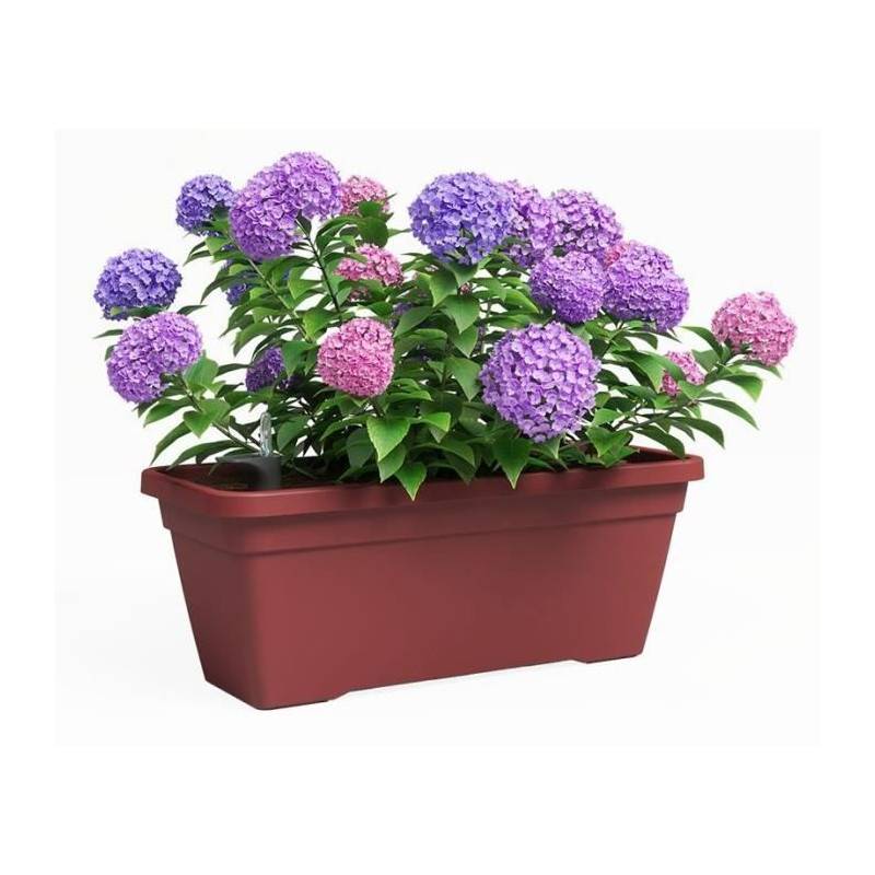 Artevasi - Jardiniere - Plastique - Rouge Foncé� - Rectangulaire - L57,9 X P24,3 X H22cm - Artevasi - Imagen 2