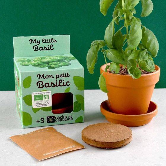 Radis et Capucine - Radis et Capucine - Kit plantation - Basilic bio - 8cm - Imagen 2