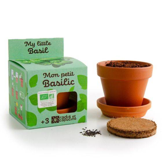 Radis et Capucine - Radis et Capucine - Kit plantation - Basilic bio - 8cm - Imagen 4