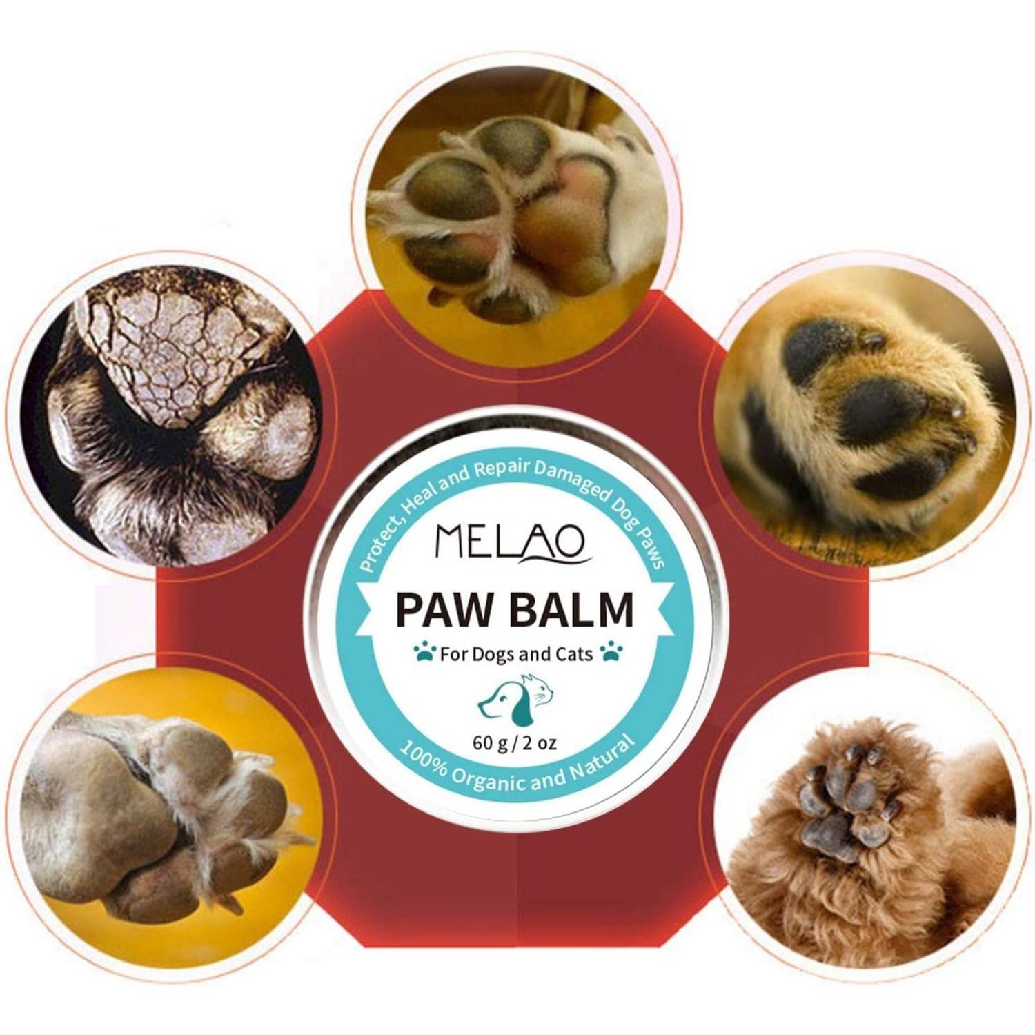Pommade Bio Pattes de Chien - Soin Réparateur DtopbuyAge - Image 3