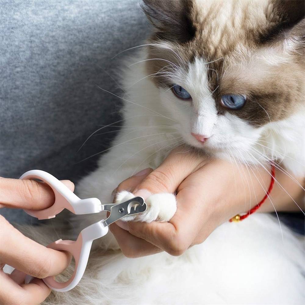 DtopbuyAge - Ciseaux - griffes pour chat et petits animaux DtopbuyAge - Image 7