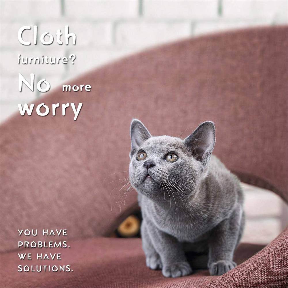 DtopbuyAge - Ciseaux - griffes pour chat et petits animaux DtopbuyAge - Image 6