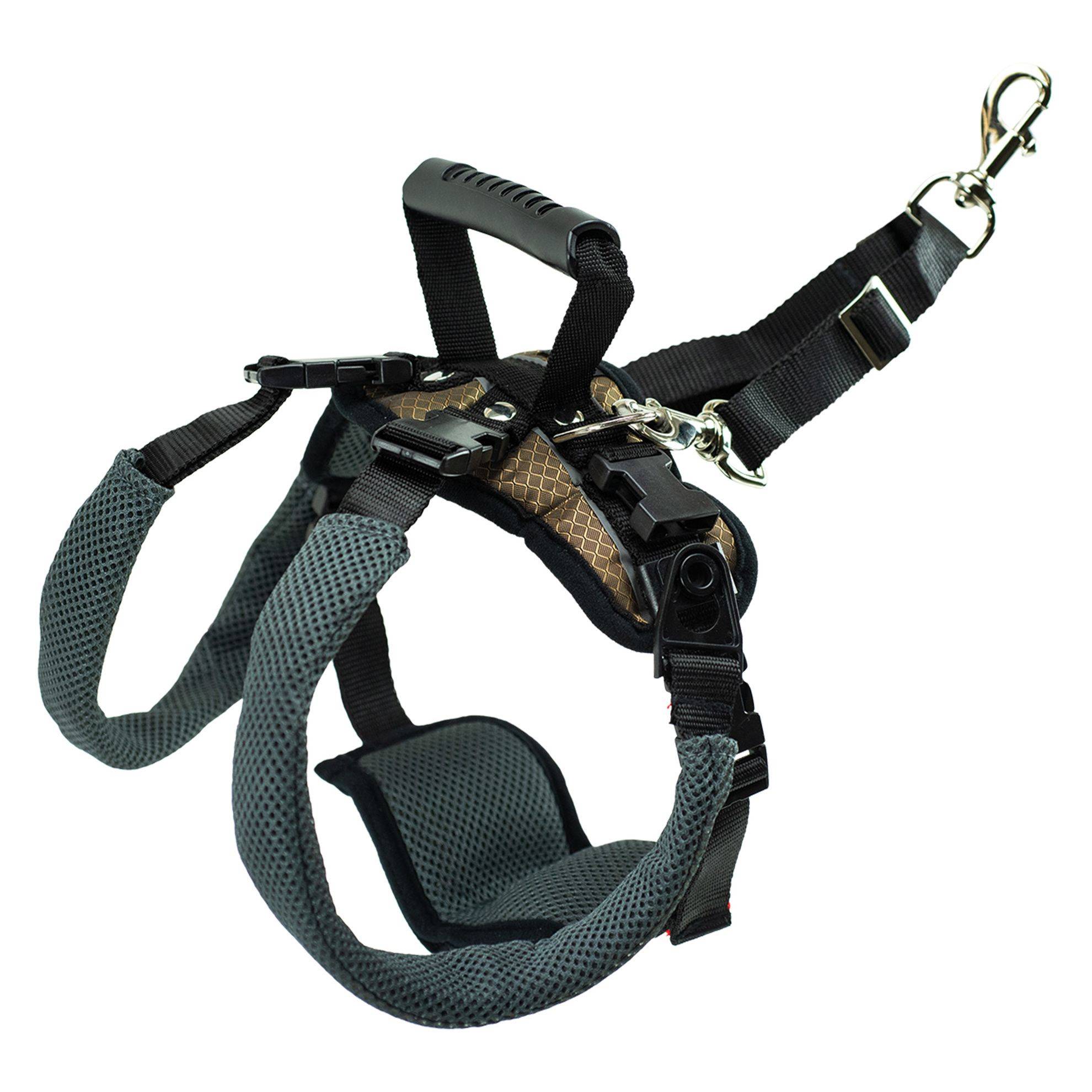 Petsafe - Harnais de levage arrière CareLift™ : MEDIUM PETSAFE