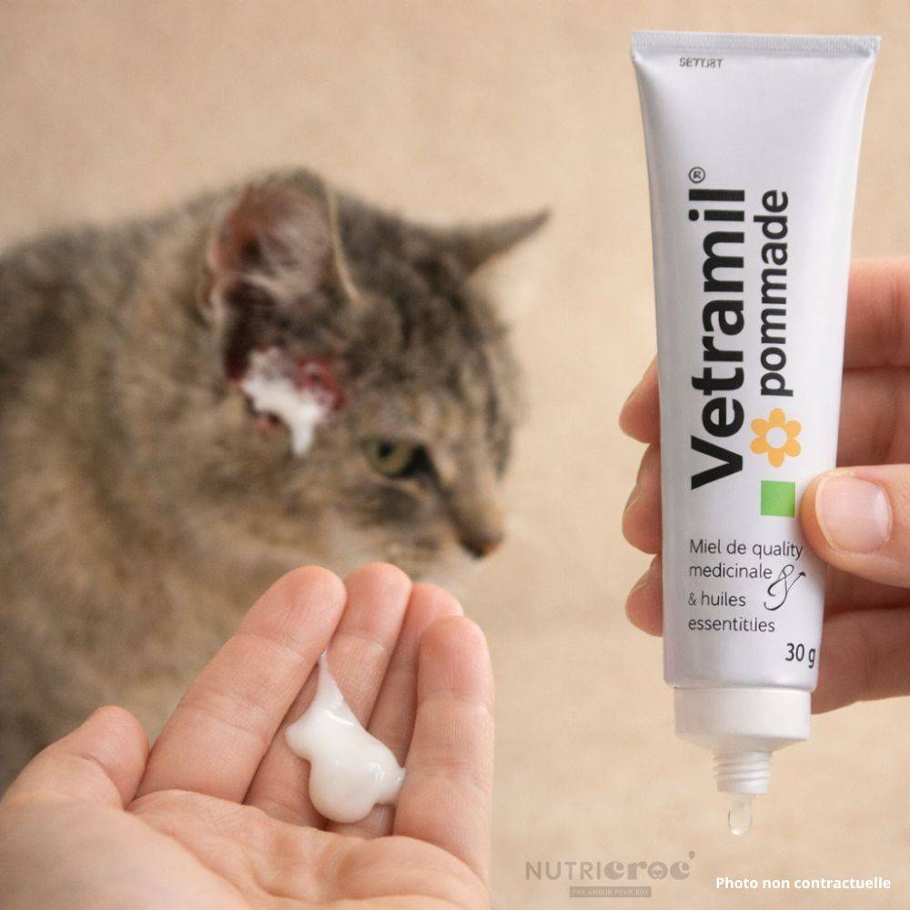 Vetramil pommade chien & chat – Soin cicatrisant au miel 30 g - Imagen 2