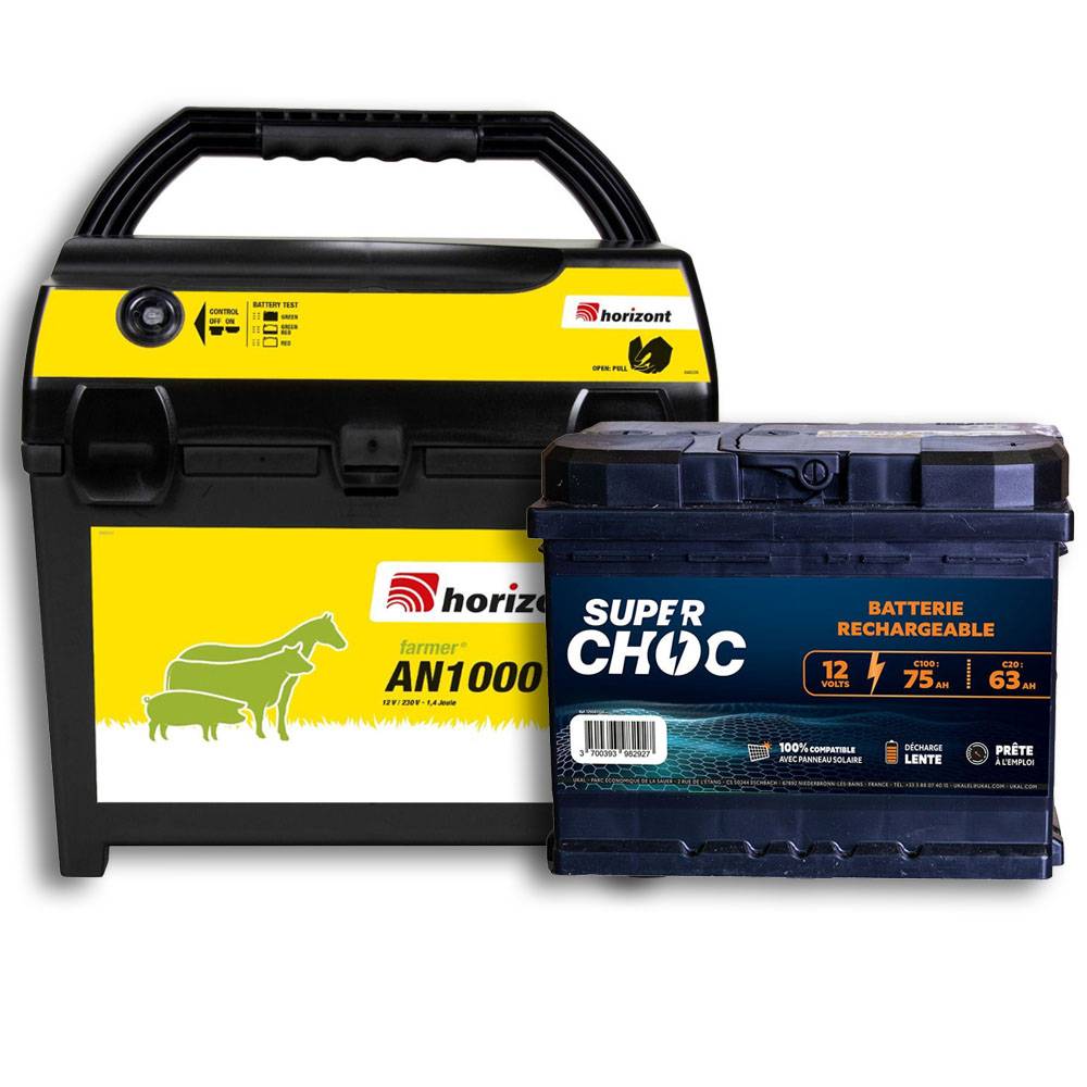 Horizont - Poste mixte AN1000 et batterie 12 V 75 Ah - Imagen 1
