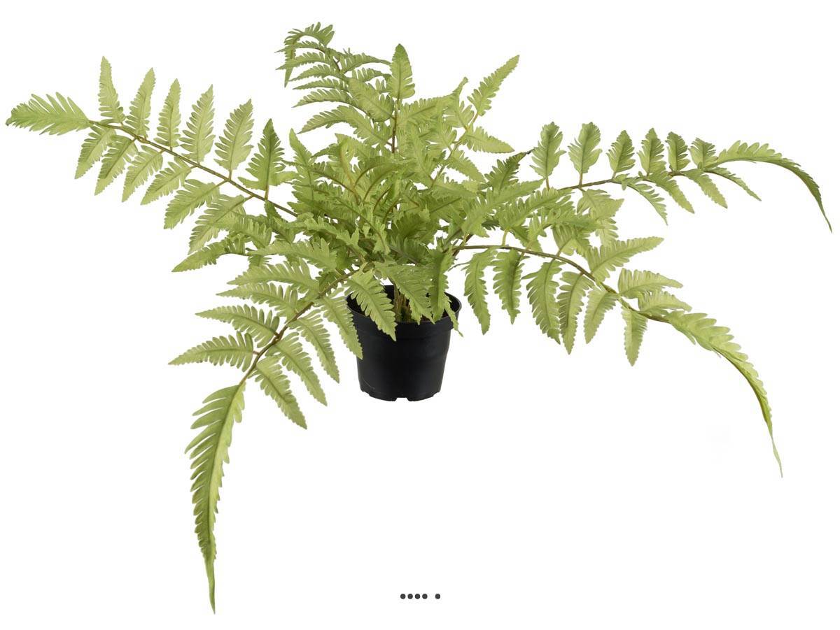 Artificielles - Fougère des forêts osmuda regalis artificielle en pot, H 40 cm - Imagen 1