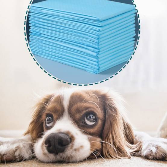 IntiMeg - Coussinets urinaires pour chiens 100 pièces IntiMeg - Image 4