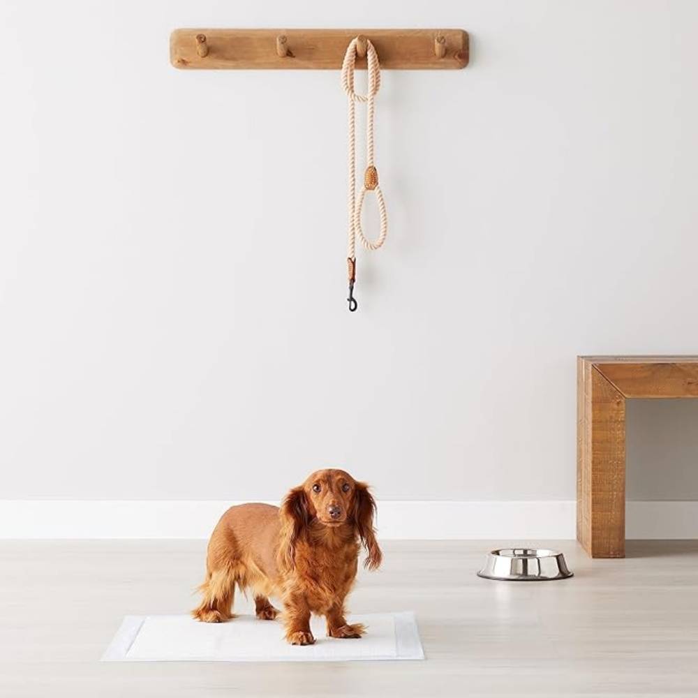 IntiMeg - Coussinets urinaires pour chiens 100 pièces IntiMeg - Image 3