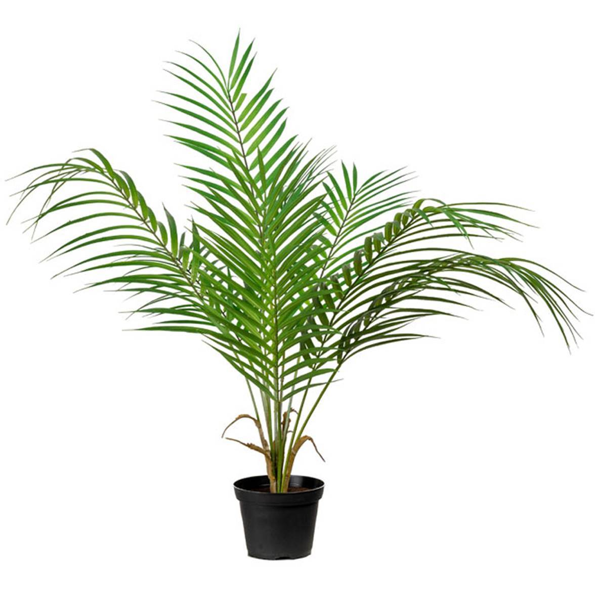 Artificielles - Palmier Areca artificiel, grandes palmes, en pot H 55 cm, D 48 cm - Imagen 1