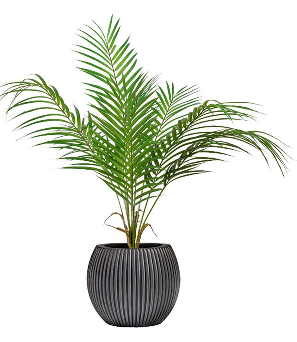 Artificielles - Palmier Areca artificiel, grandes palmes, en pot H 55 cm, D 48 cm - Imagen 2