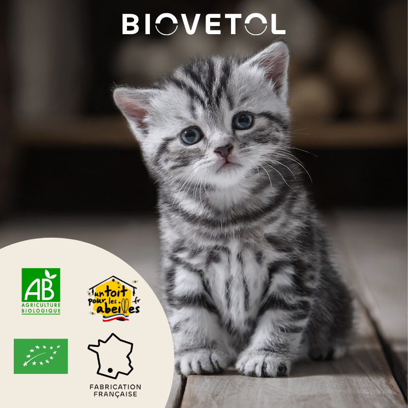 Biovetol - Vermífugo Bio en Polvo para Gato Pequeño y Gatito - Imagen 2