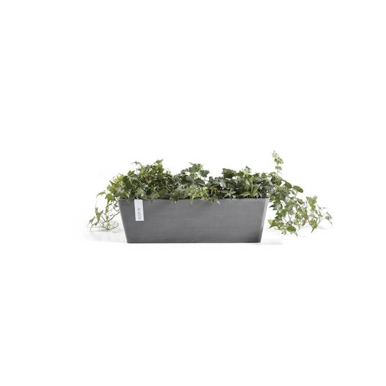 Ecopots - Pot Rectangulaire Bruges 55 Gris + réservoir d'eau - 55 x 17 x H. 17 cm - 12 L ECOPOTS - Imagen 2