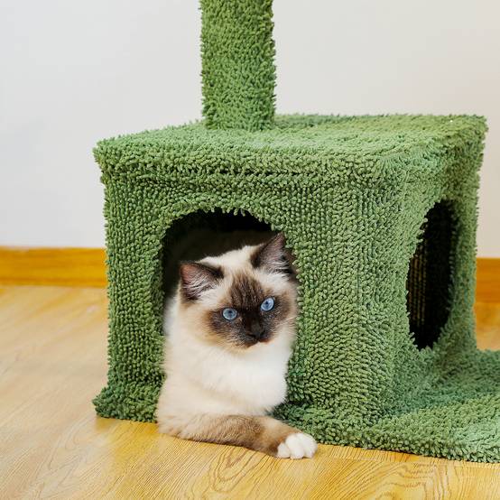 Arbre à Chat Cactus Design 4-en-1 Vert 102 cm PAWZ Road - Image 5
