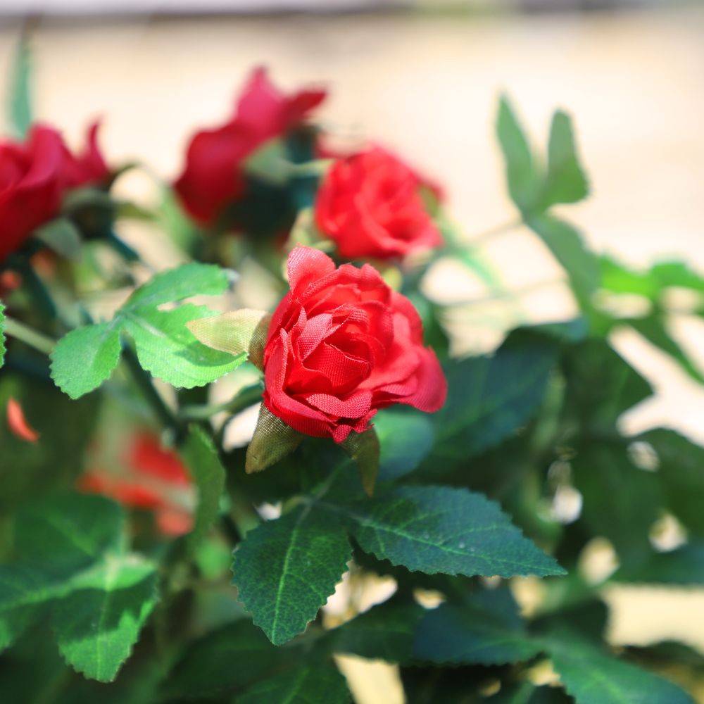 Rosier plante fleur artificielle extérieur cimetière tissu rouge 23cm Chemin de campagne - Imagen 3