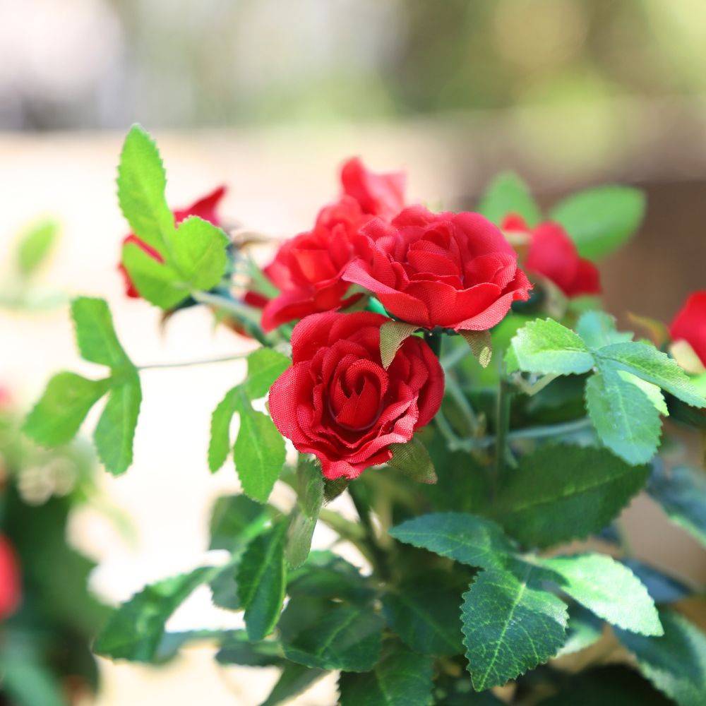Rosier plante fleur artificielle extérieur cimetière tissu rouge 23cm Chemin de campagne - Imagen 4