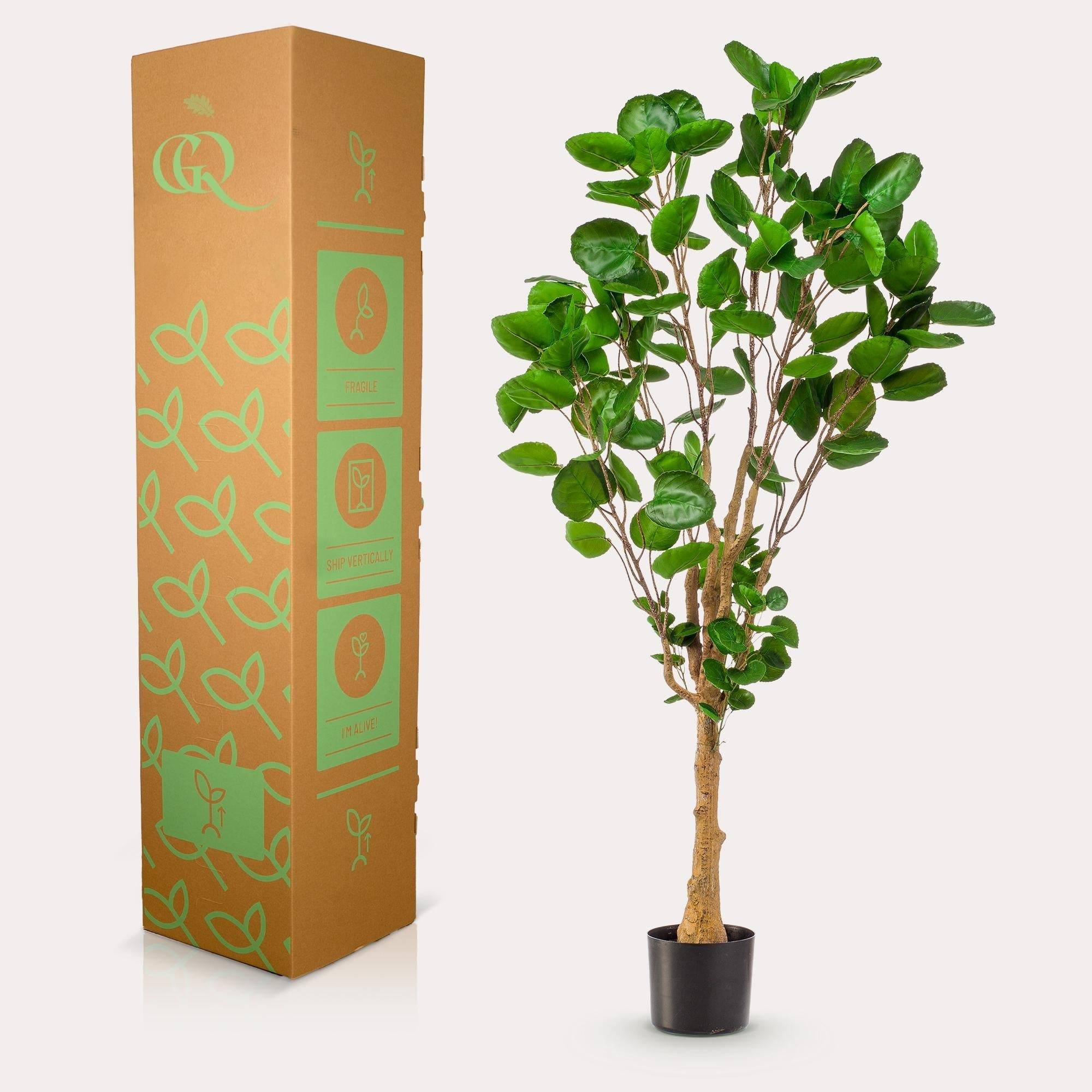 La Green Touch - Polyscias Aralia plante artificielle - h150cm, Ø12cm- La Green Touch - Imagen 4