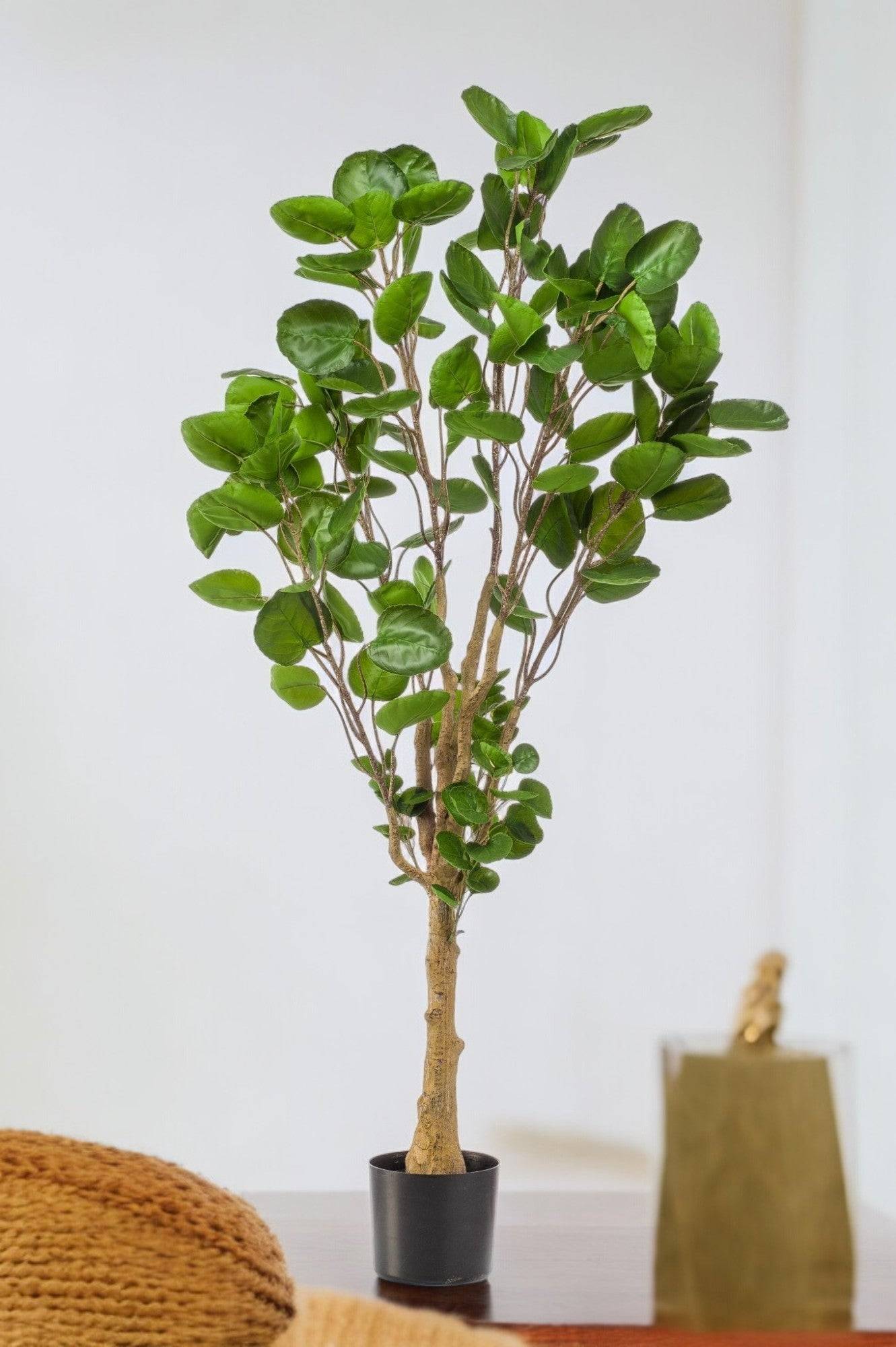 La Green Touch - Polyscias Aralia plante artificielle - h150cm, Ø12cm- La Green Touch - Imagen 1