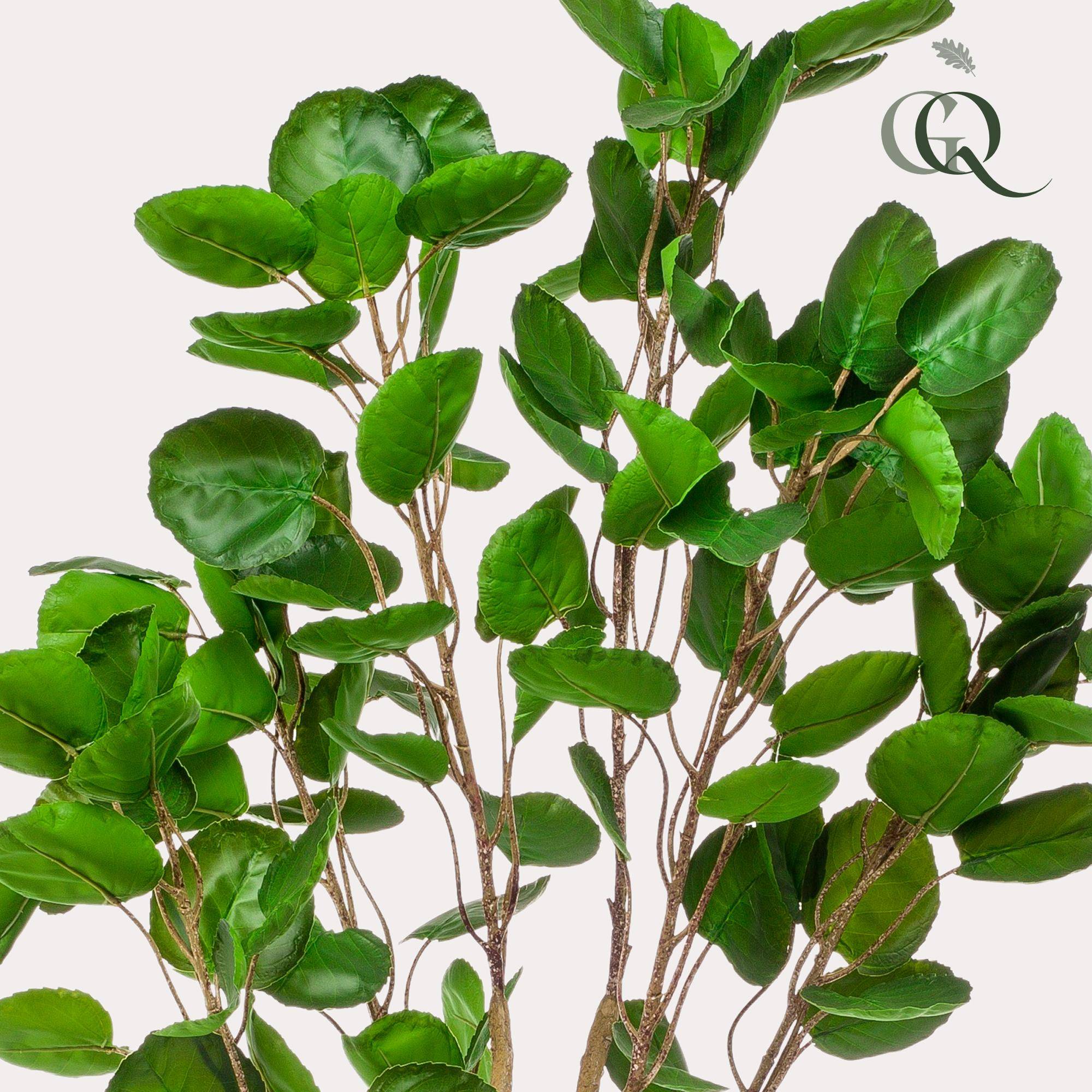 La Green Touch - Polyscias Aralia plante artificielle - h150cm, Ø12cm- La Green Touch - Imagen 2