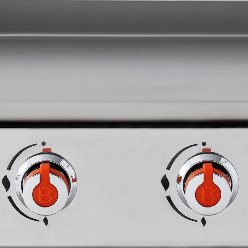Brasero - plancha au gaz BRASERO Joana Inox 2 Feux - Surface de cuisson 53 x 40 cm - Gris - Imagen 10