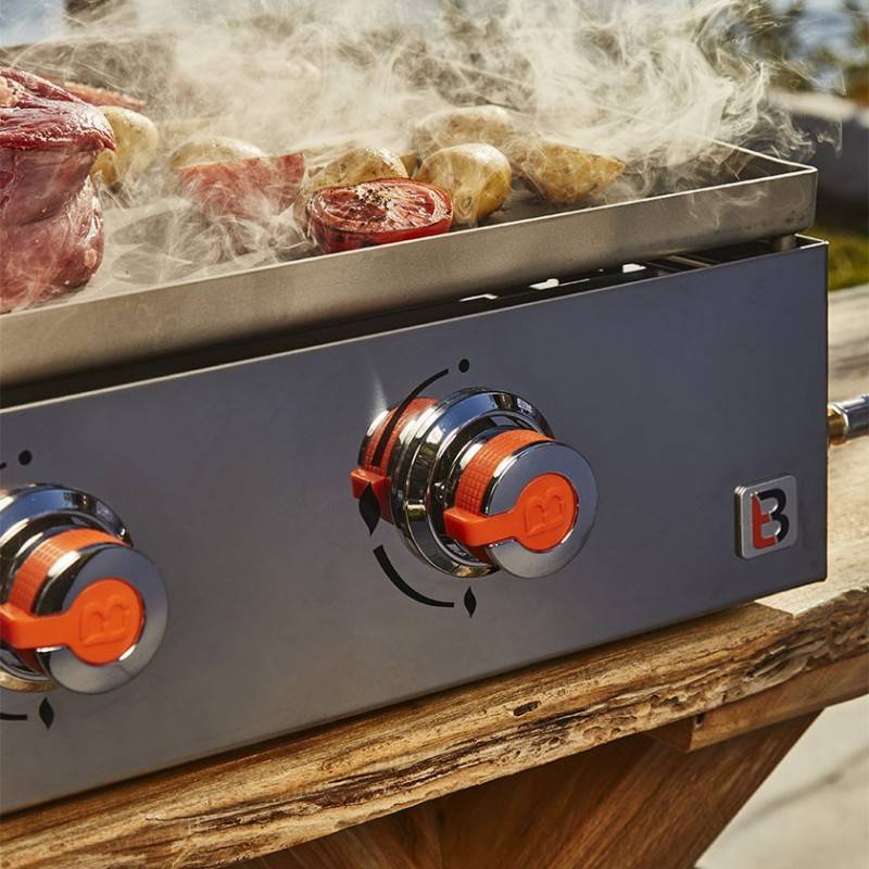 Brasero - plancha au gaz BRASERO Joana Inox 2 Feux - Surface de cuisson 53 x 40 cm - Gris - Imagen 5