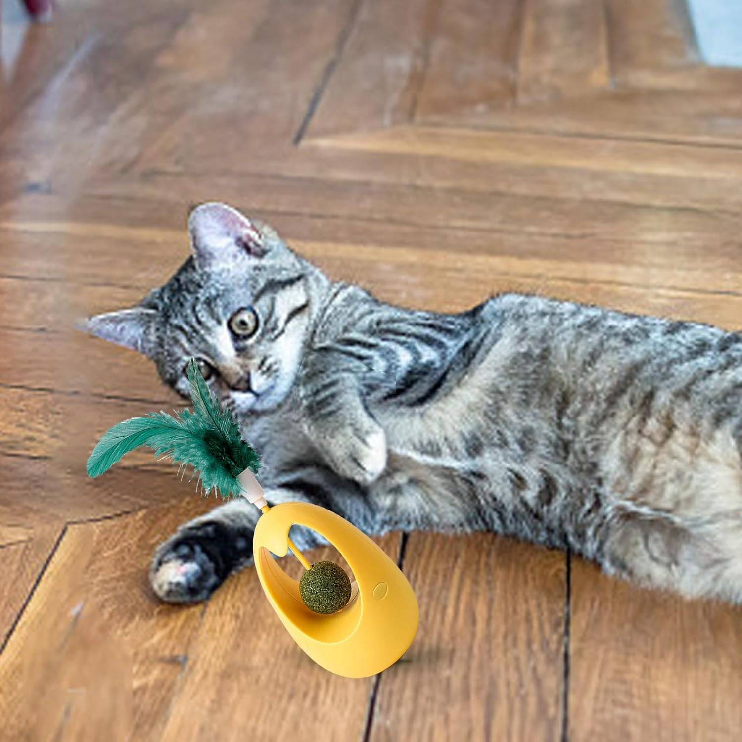 Jouet automatique gobelets à plume pour chat DtopbuyAge - Image 4
