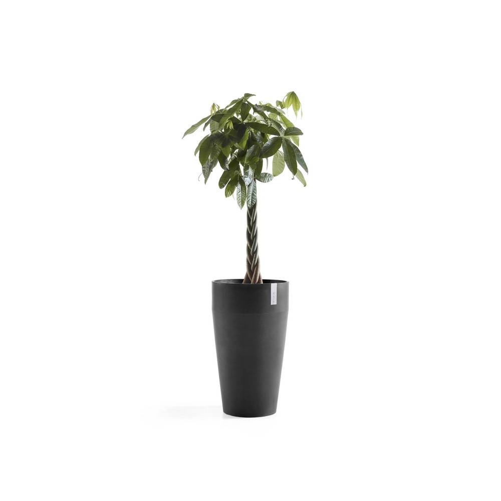 Ecopots - Pot Haut Sankara 75 Gris Foncé - Ø 45 x H. 75 cm - 78 L ECOPOTS - Imagen 2