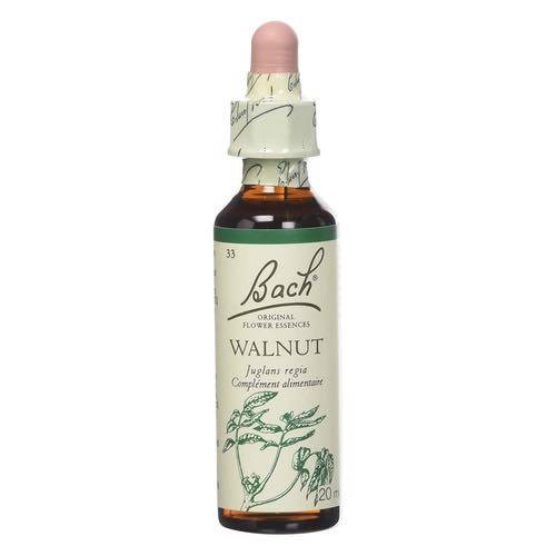 Walnut -  Fleurs de Bach n°33 Fleur de Bach