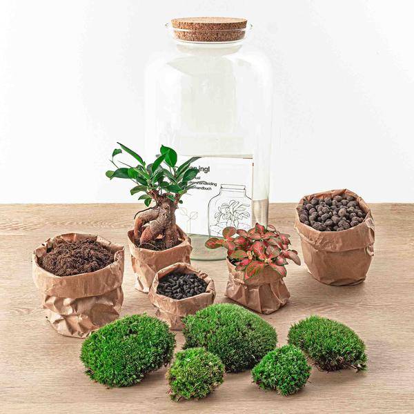 Diy Terrarium - D43 H43cm - Image 4