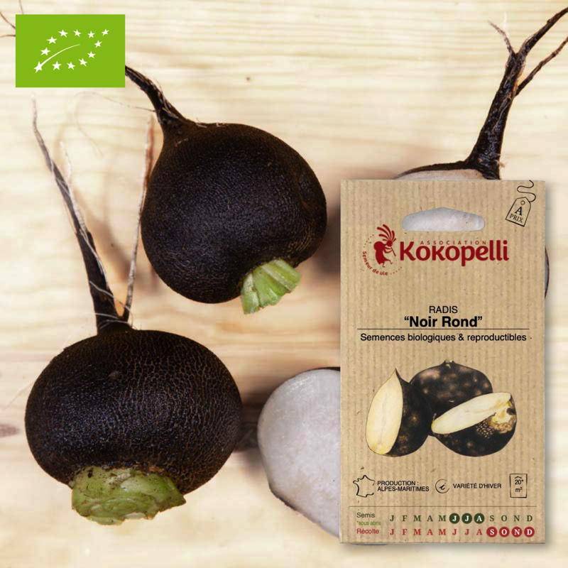 Association Kokopelli - Radis Noir Rond- Graines bio à semer - Imagen 1