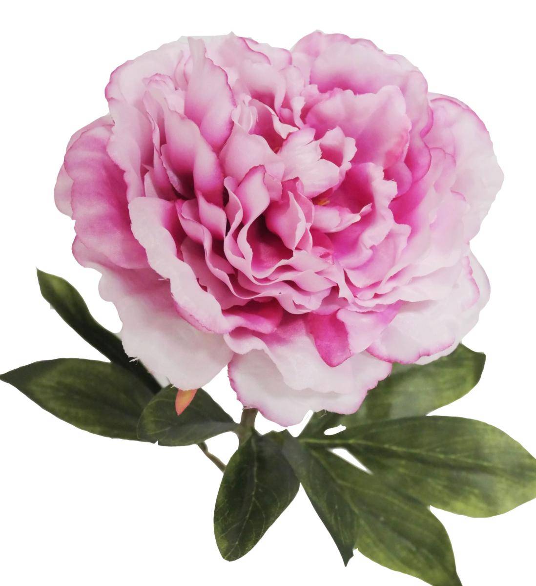 Artificielles - Pivoine artificielle H 63 cm très belle tête - Lavande - couleur: Lavande - Imagen 2